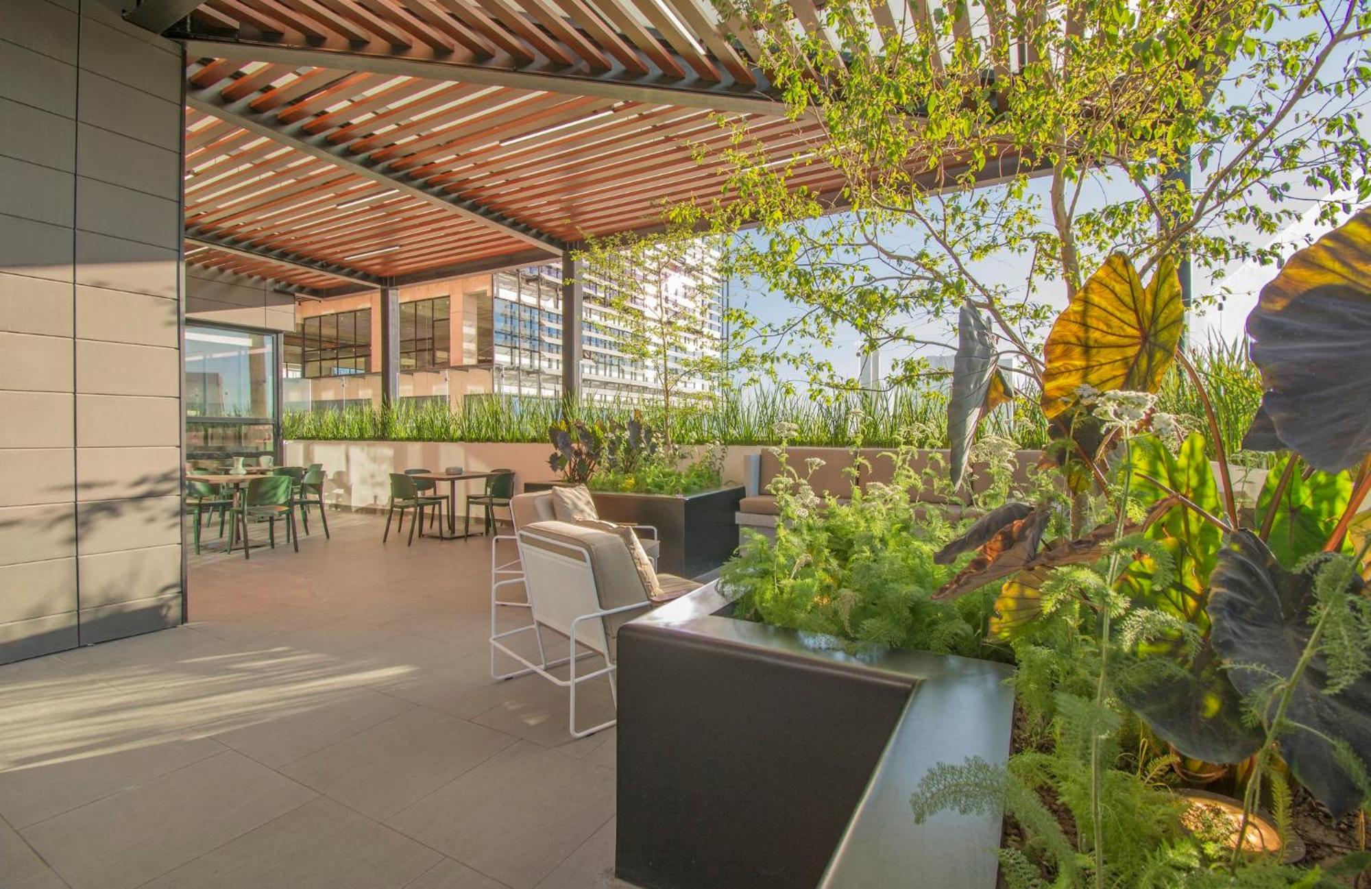 Staybridge Suites - Guadalajara Novena By Ihg Eksteriør billede